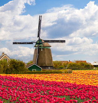 Sports & Corporate travel in Holland
